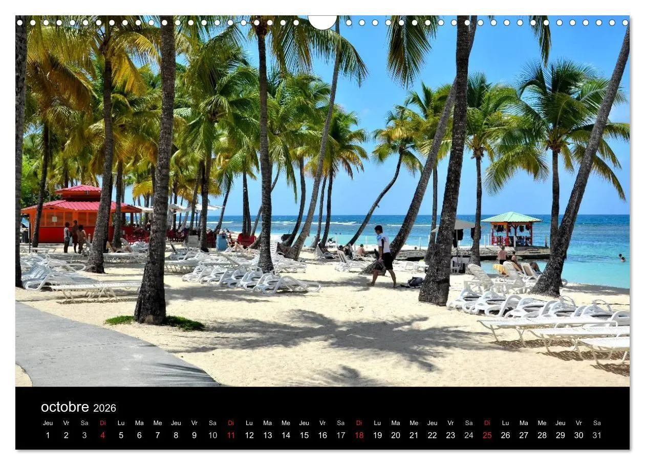Bild: 9783516572421 | Paysages de Guadeloupe (Calendrier mural 2026 DIN A3 vertical),...