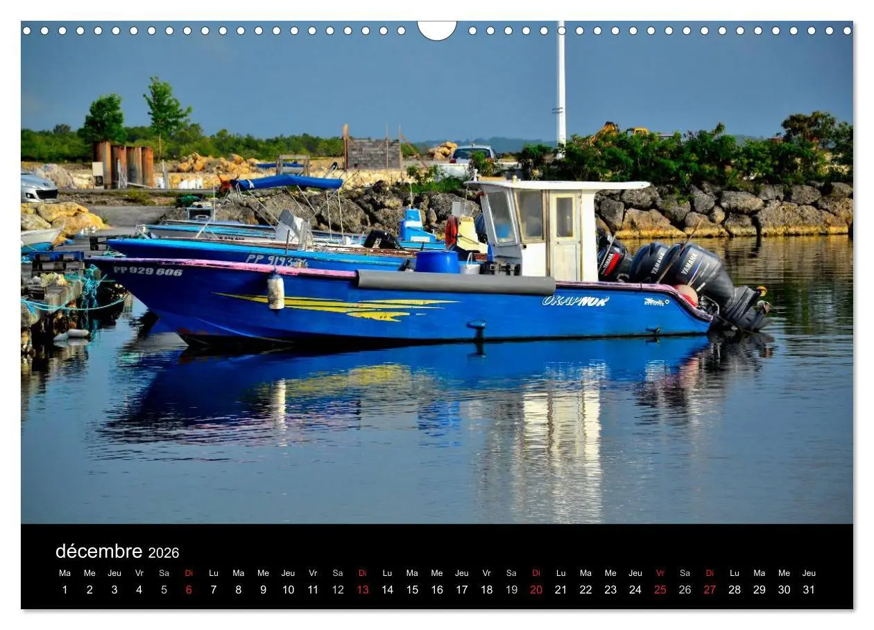 Bild: 9783516572421 | Paysages de Guadeloupe (Calendrier mural 2026 DIN A3 vertical),...