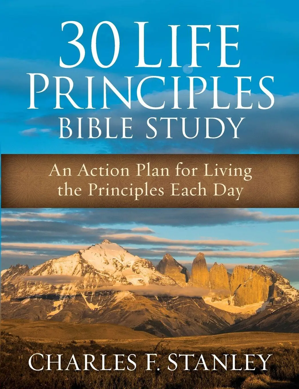 Cover: 9780310082521 | The 30 Life Principles Bible Study Softcover (Enlarged) | Stanley