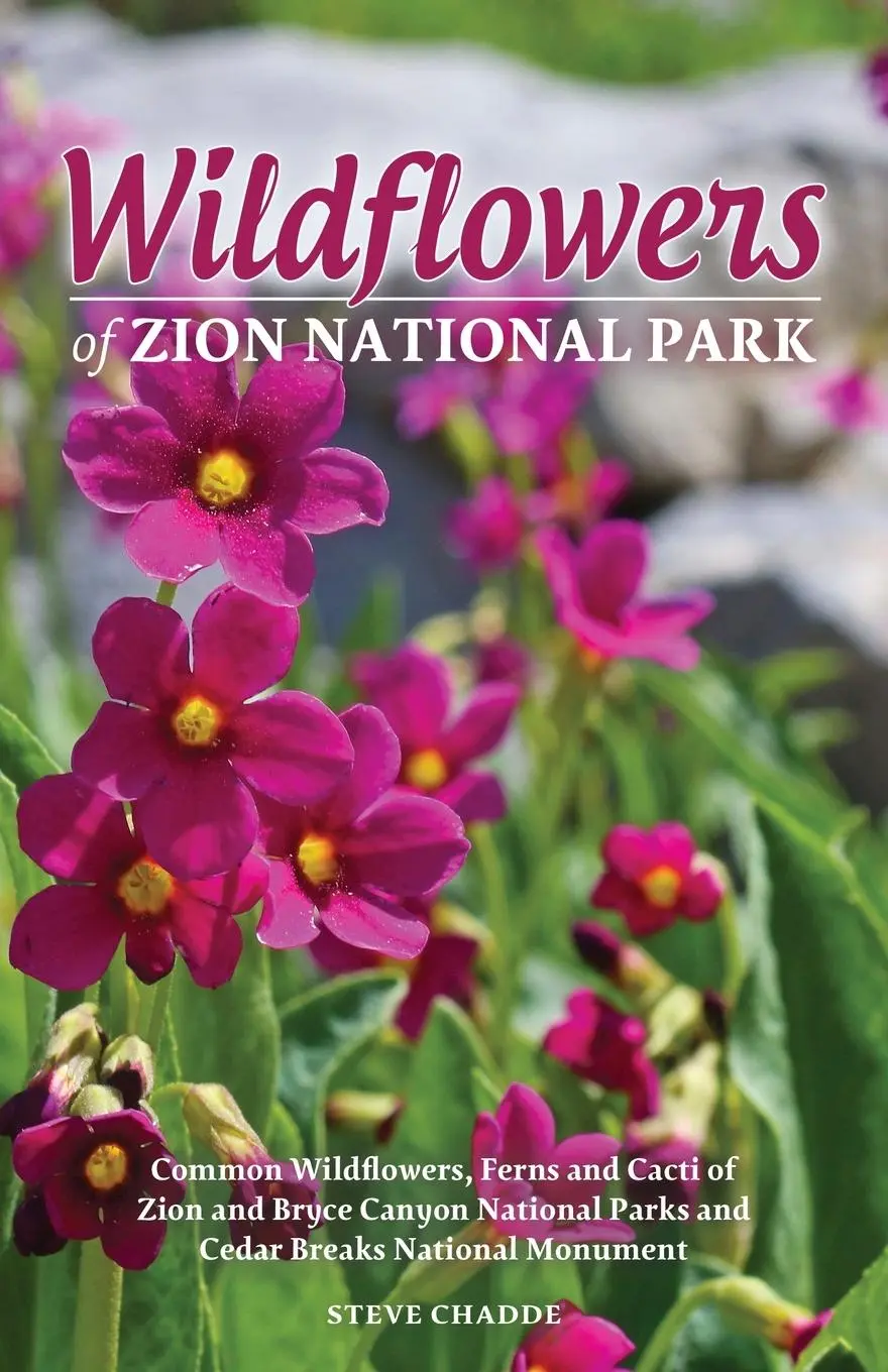 Cover: 9781951682521 | Wildflowers of Zion National Park | Steve W. Chadde | Taschenbuch
