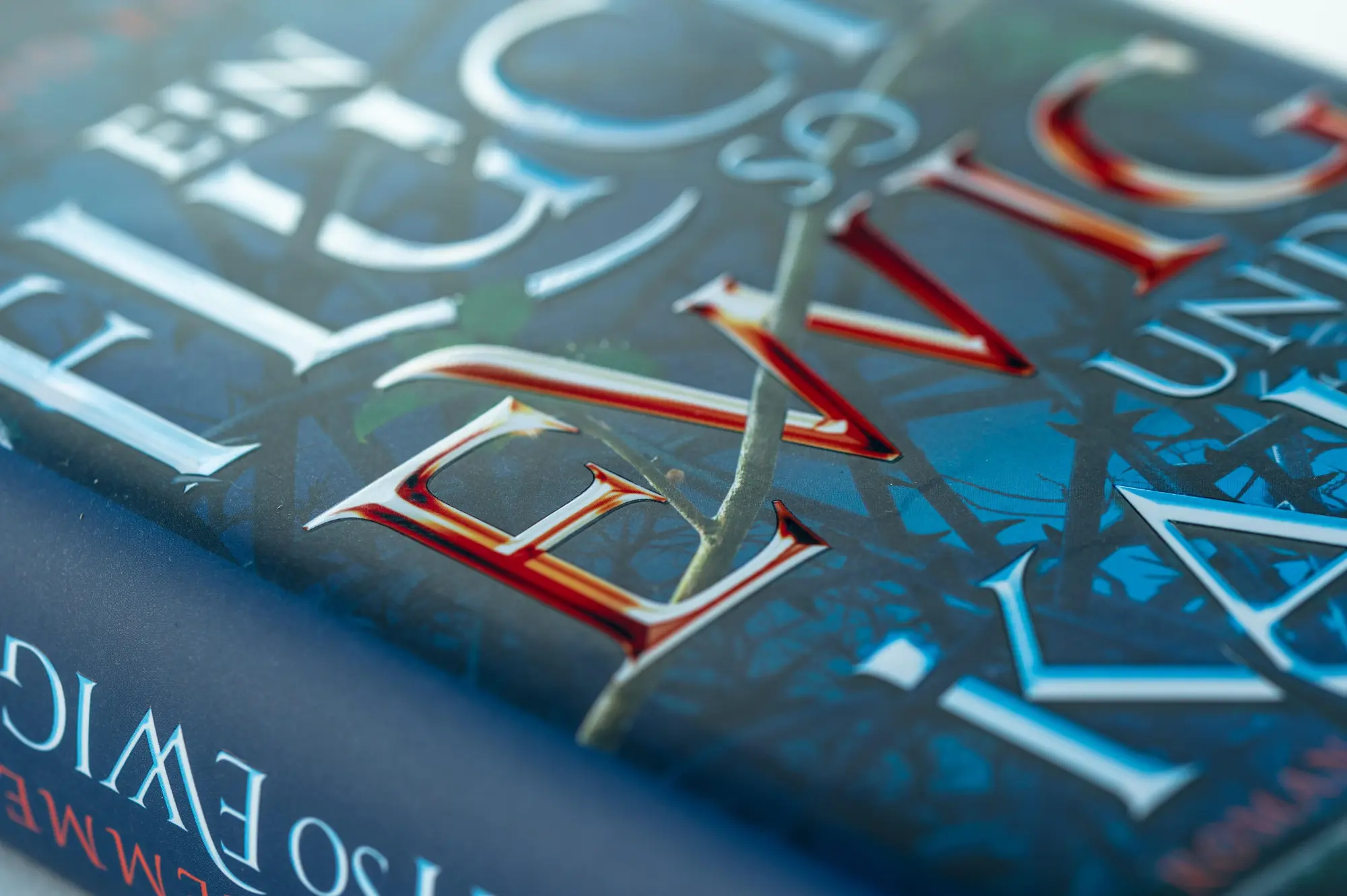 Bild: 9783453272521 | Ein Fluch so ewig und kalt | Roman | Brigid Kemmerer | Buch | 560 S.