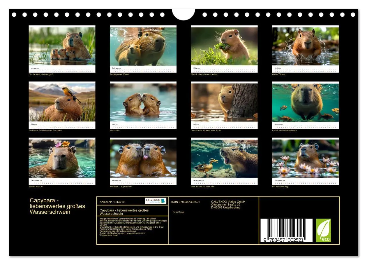 Bild: 9783457302521 | Capybara - liebenswertes großes Wasserschwein (Wandkalender 2026...