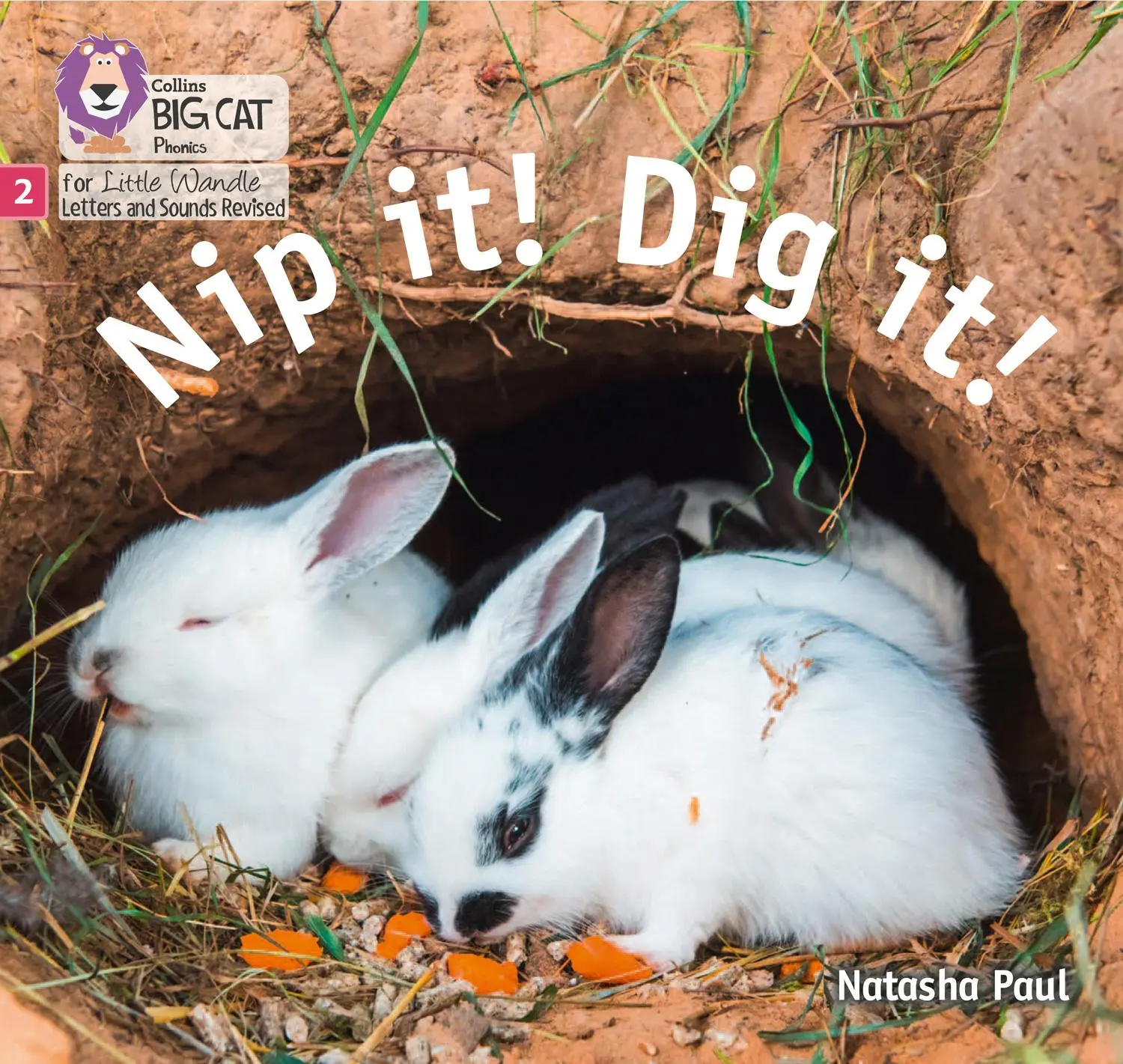 Cover: 9780008502621 | Nip It! Dig It! | Phase 2 Set 3 | Natasha Paul | Taschenbuch | 2022