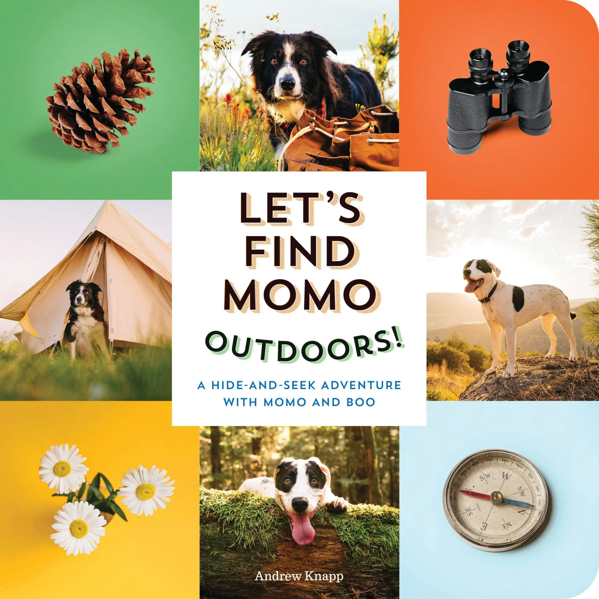 Cover: 9781683692621 | Let's Find Momo Outdoors! | Andrew Knapp | Buch | Kinder-Pappbuch