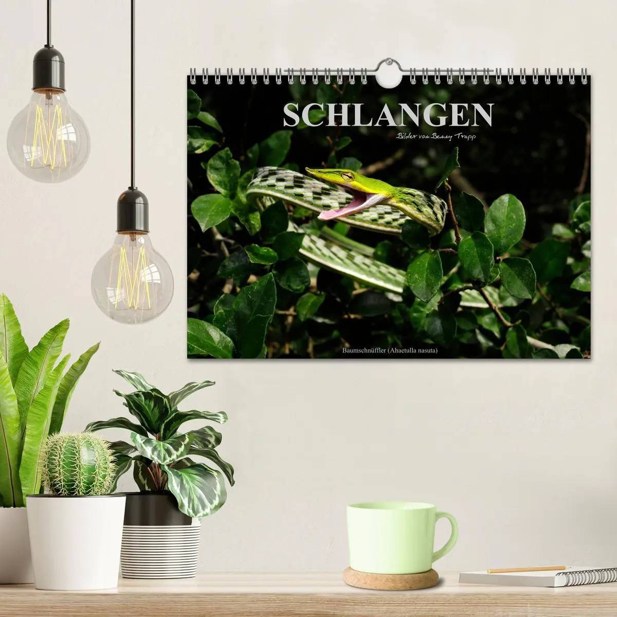 Bild: 9783516172621 | Schlangen (Wandkalender 2026 DIN A4 quer), CALVENDO Monatskalender