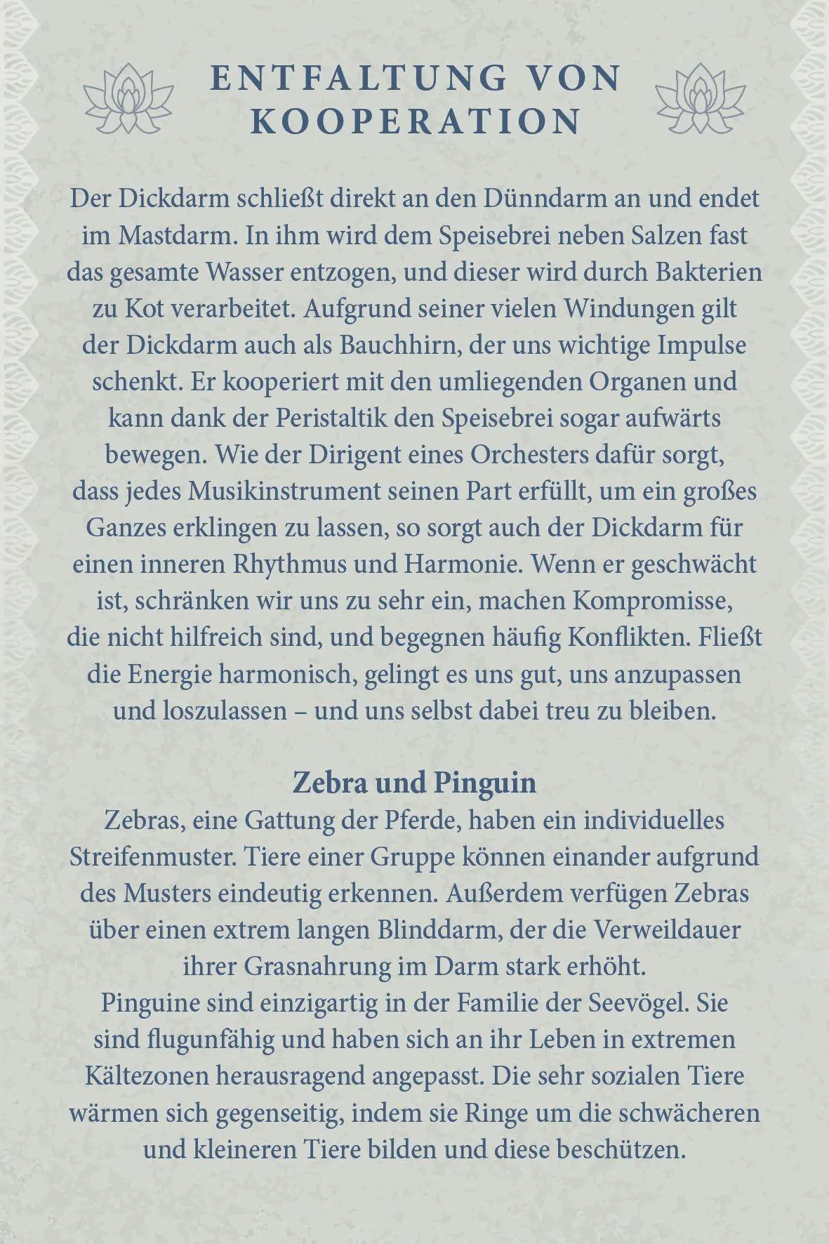 Bild: 9783843492621 | Kraftvolle Organe - Übungen und Impulse zur Befreiung von...