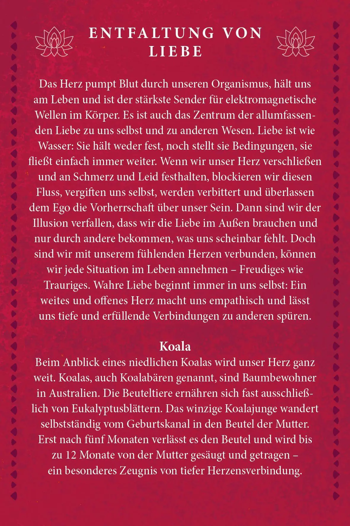 Bild: 9783843492621 | Kraftvolle Organe - Übungen und Impulse zur Befreiung von...