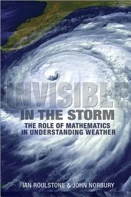 Cover: 9780691152721 | Invisible in the Storm – The Role of Mathematics in Understanding...