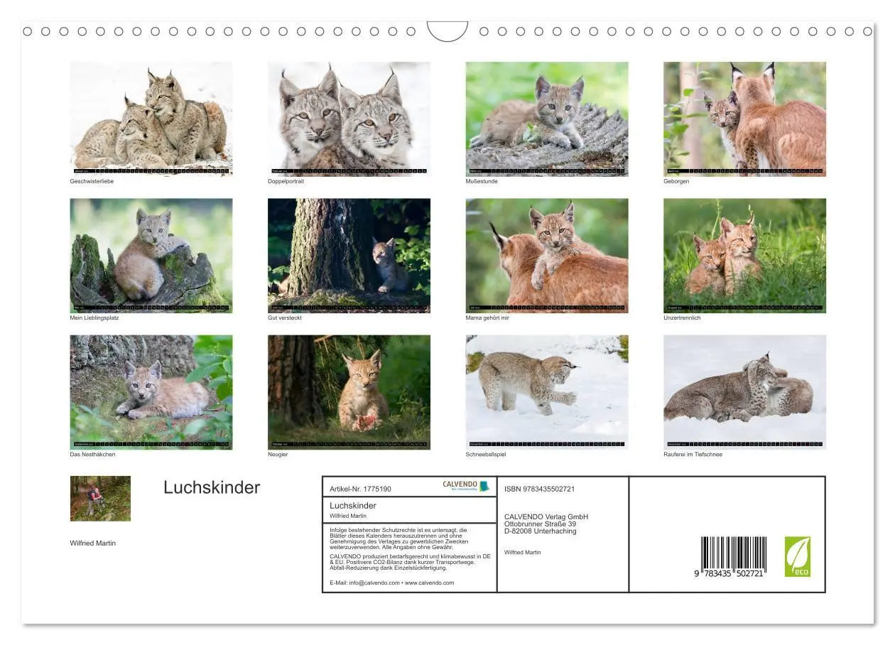 Bild: 9783435502721 | Luchskinder (Wandkalender 2025 DIN A3 quer), CALVENDO Monatskalender