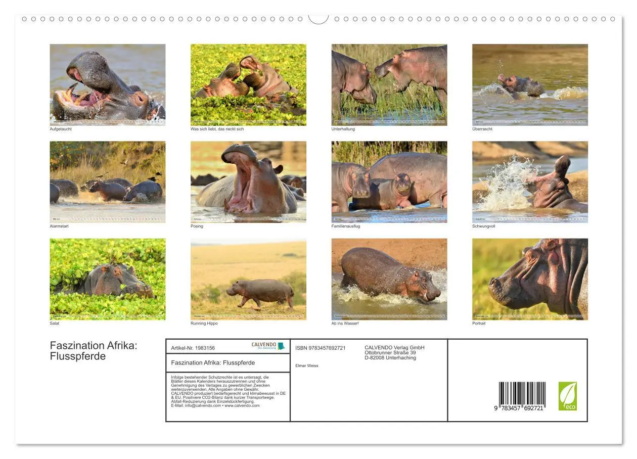 Bild: 9783457692721 | Faszination Afrika: Flusspferde (hochwertiger Premium Wandkalender...