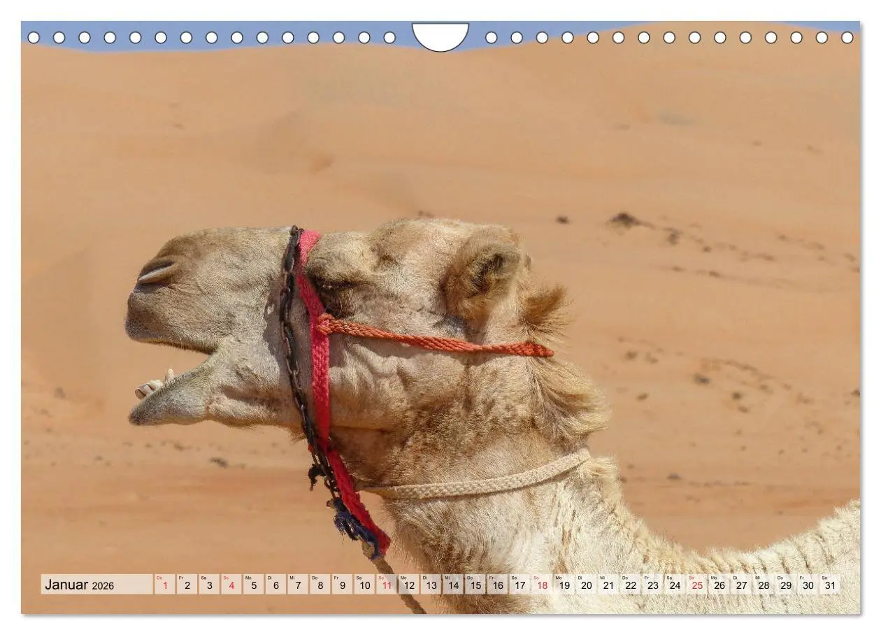 Bild: 9783457762721 | Oman - Zauberhafte Landschaften (Wandkalender 2026 DIN A4 quer),...