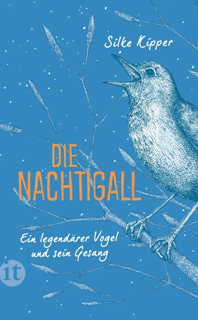 Cover: 9783458682721 | Die Nachtigall | Ein legendärer Vogel und sein Gesang | Silke Kipper