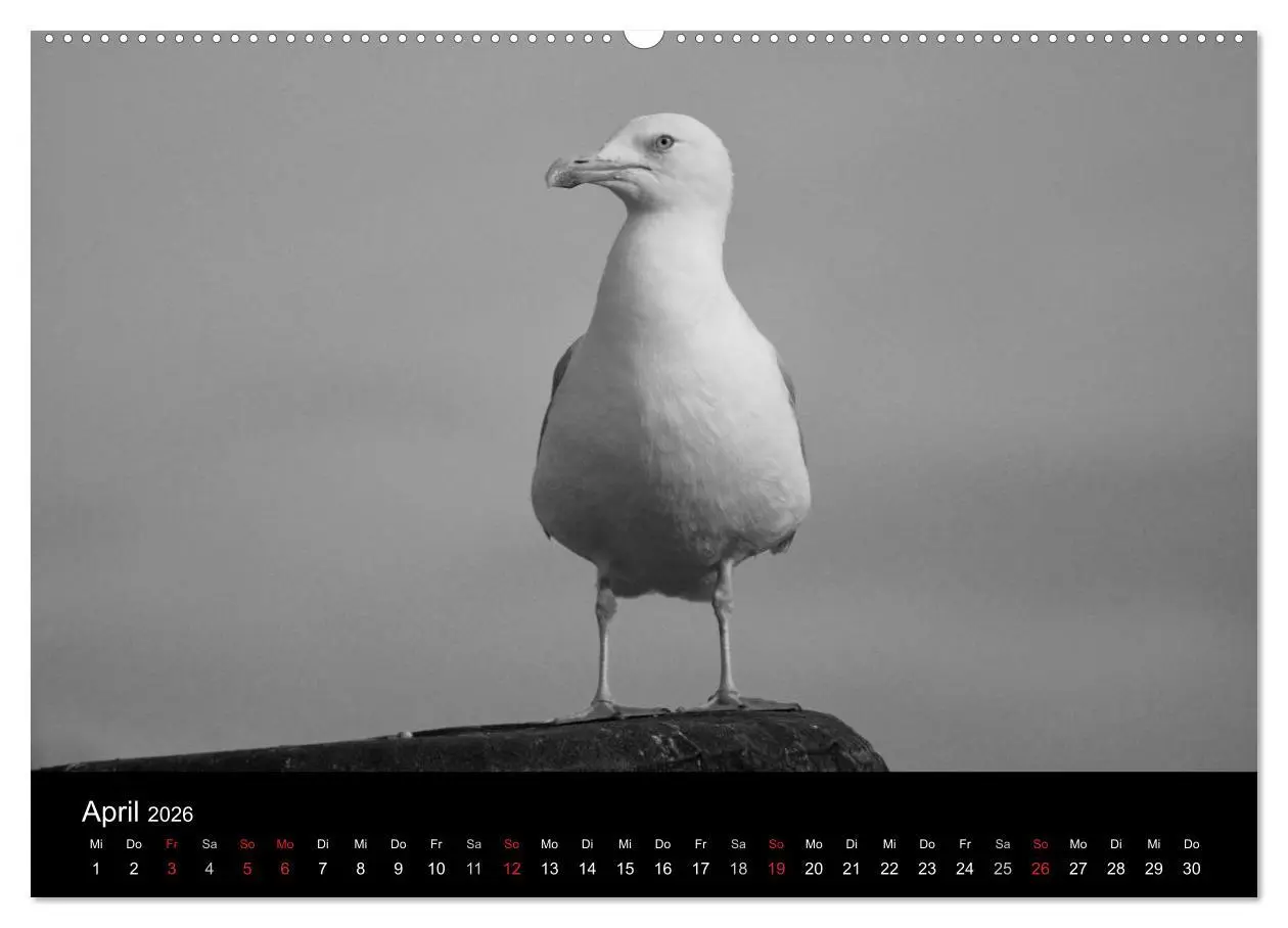 Bild: 9783516162721 | Willkommen in Cuxhaven (hochwertiger Premium Wandkalender 2026 DIN...