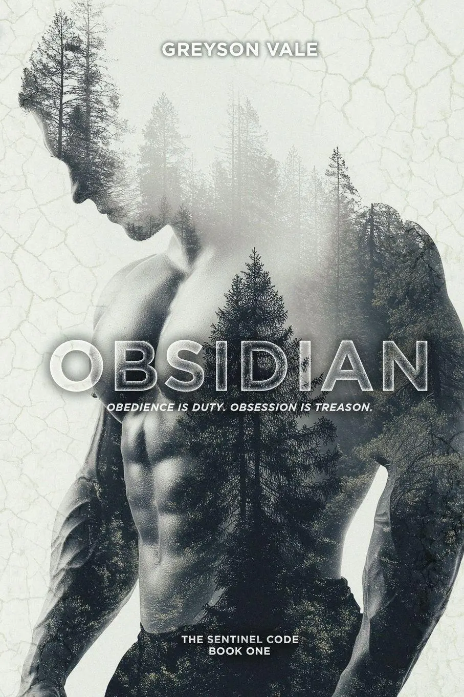 Cover: 9798295412721 | Obsidian | A Dark MM Romance | Greyson Vale | Taschenbuch | Englisch