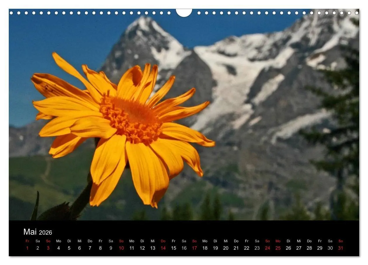 Bild: 9783516082821 | Zauber der Berge. Die Schweizer Alpen (Wandkalender 2026 DIN A3...