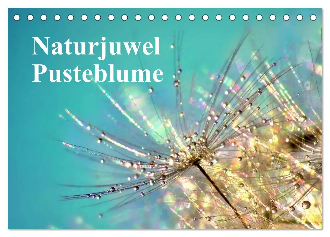 Cover: 9783516152821 | Naturjuwel Pusteblume (Tischkalender 2026 DIN A5 quer), CALVENDO...