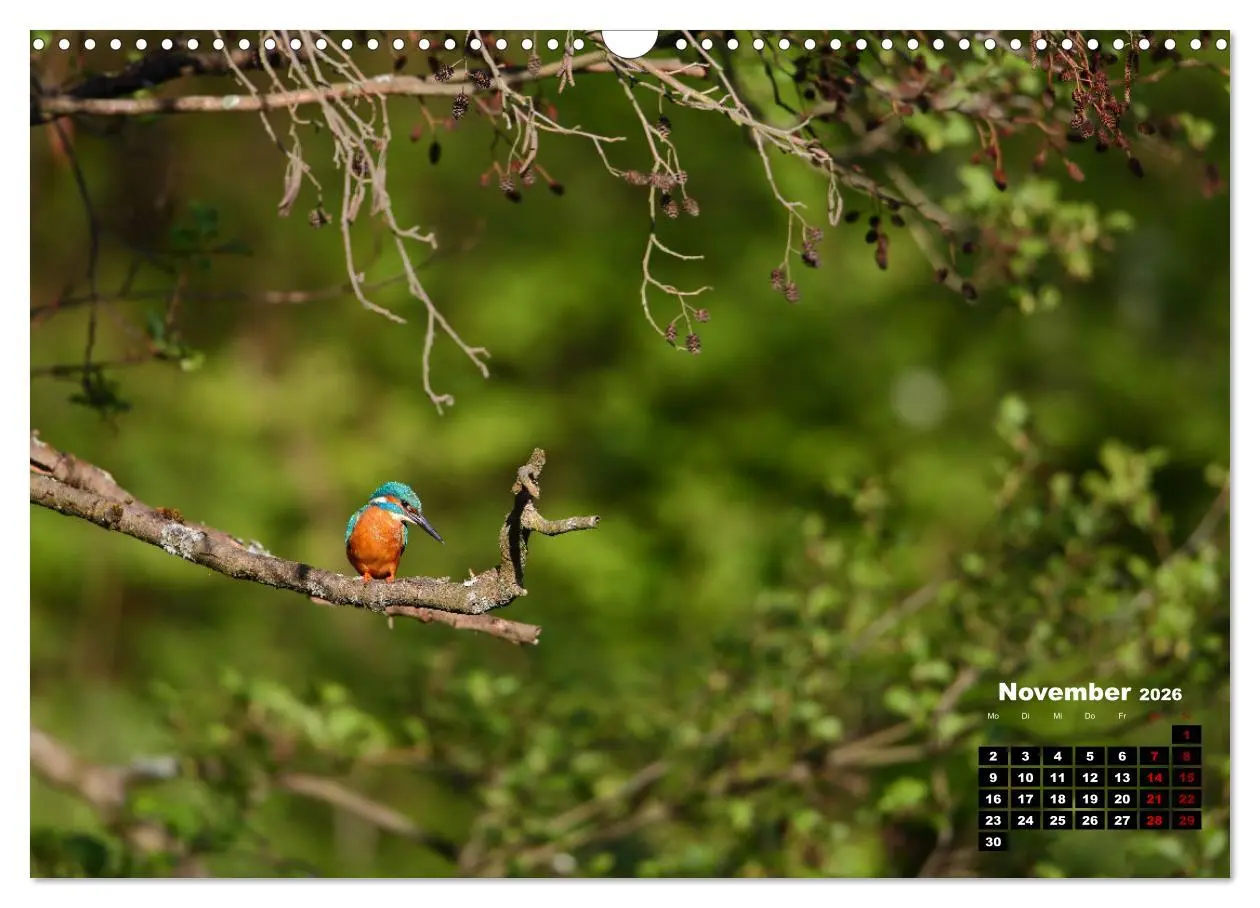 Bild: 9783457502921 | Wildes Bochum (Wandkalender 2026 DIN A3 quer), CALVENDO Monatskalender