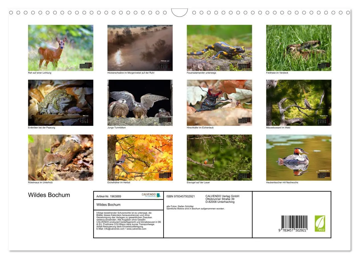 Bild: 9783457502921 | Wildes Bochum (Wandkalender 2026 DIN A3 quer), CALVENDO Monatskalender