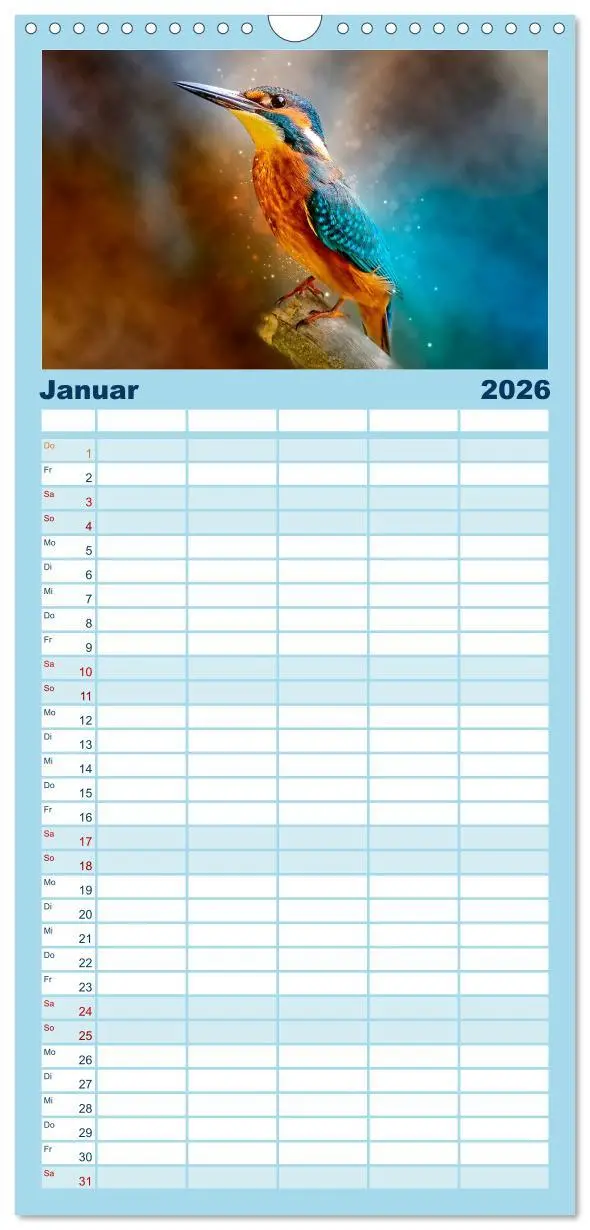 Bild: 9783516522921 | Familienplaner 2026 - Wunderschöner Eisvogel mit 5 Spalten...