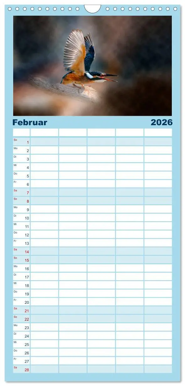 Bild: 9783516522921 | Familienplaner 2026 - Wunderschöner Eisvogel mit 5 Spalten...