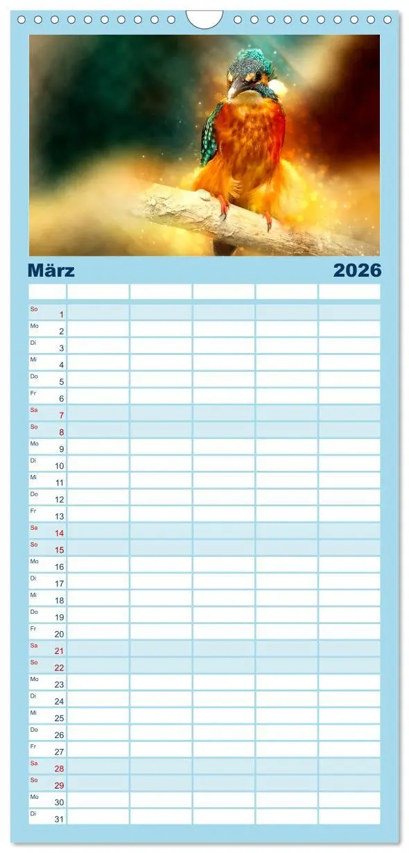 Bild: 9783516522921 | Familienplaner 2026 - Wunderschöner Eisvogel mit 5 Spalten...