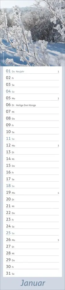Bild: 9783756412921 | times&amp;more Garten Langplaner 2026 | Kalender | Spiralbindung | 13 S.