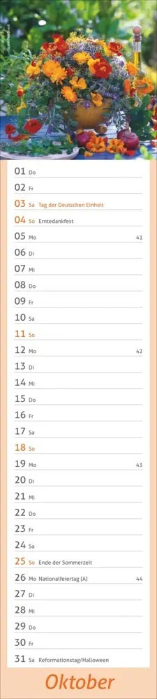 Bild: 9783756412921 | times&amp;more Garten Langplaner 2026 | Kalender | Spiralbindung | 13 S.