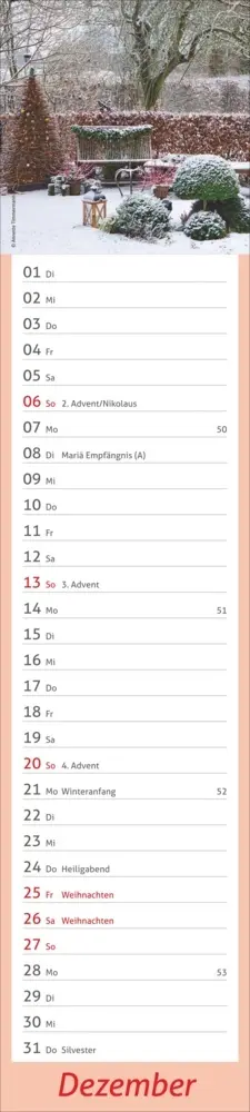 Bild: 9783756412921 | times&amp;more Garten Langplaner 2026 | Kalender | Spiralbindung | 13 S.