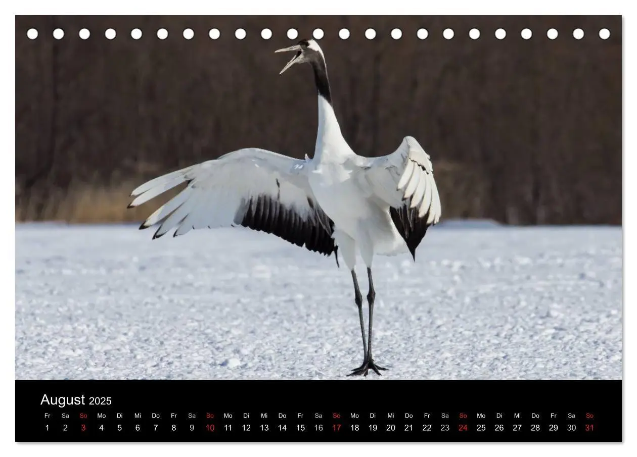 Bild: 9783435783021 | Mandschurenkraniche (Tischkalender 2025 DIN A5 quer), CALVENDO...