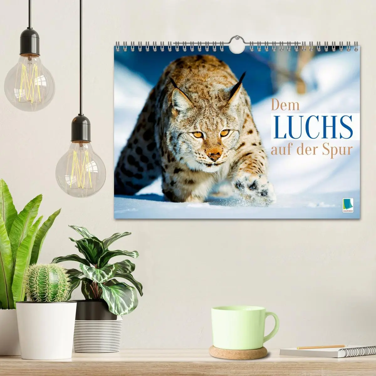 Bild: 9783457943021 | Dem Luchs auf der Spur (Wandkalender 2026 DIN A4 quer), CALVENDO...