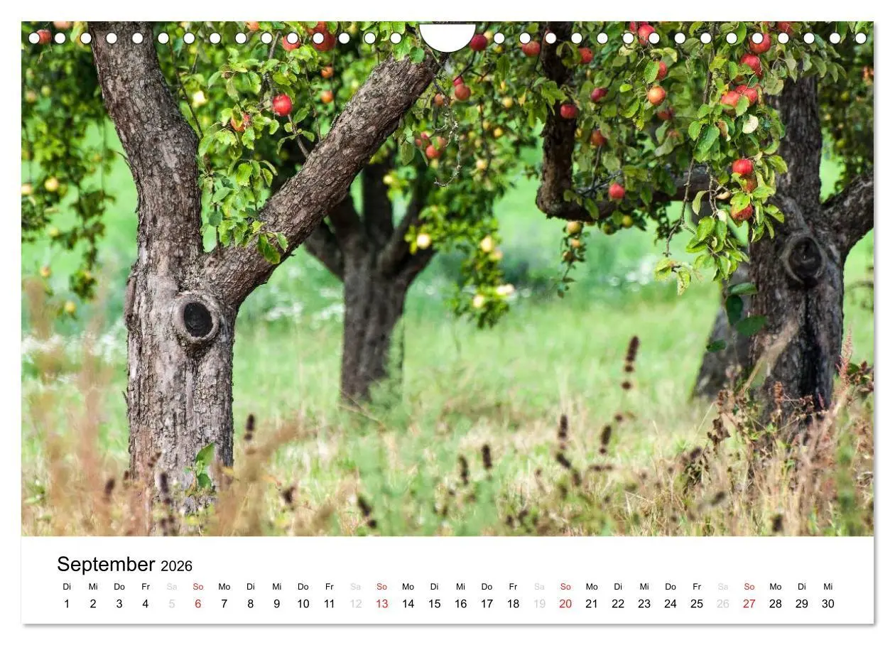 Bild: 9783516103021 | Impressionen aus Kernen im Remstal (Wandkalender 2026 DIN A4 quer),...