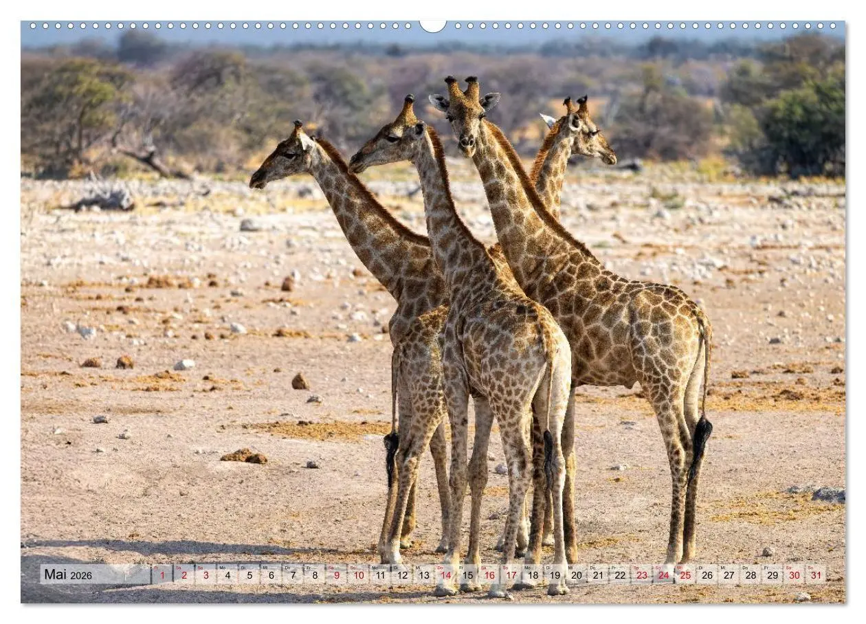 Bild: 9783516723021 | Namibia - Simbabwe - Botswana Leben zwischen Wüste und Wildnis...