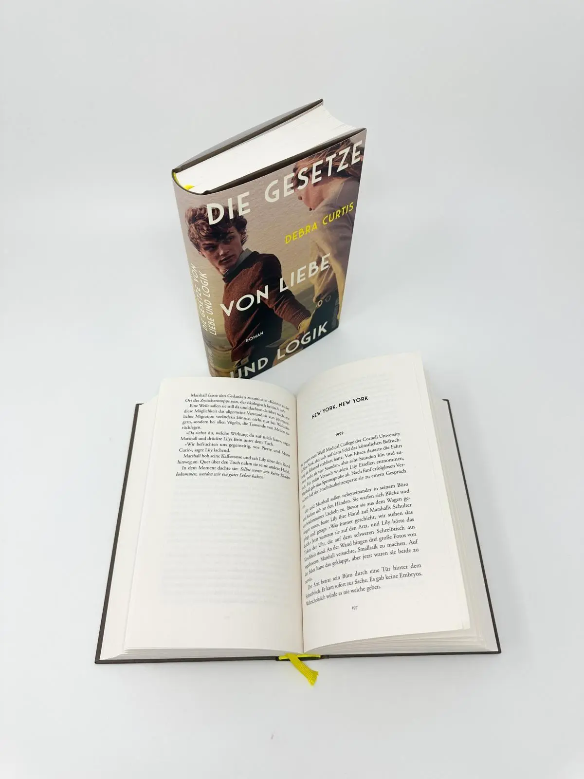 Bild: 9783550203121 | Die Gesetze von Liebe und Logik | Debra Curtis | Buch | 352 S. | 2026