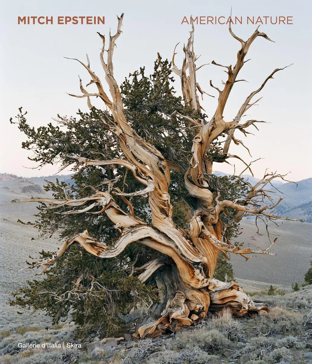 Cover: 9788857253121 | Mitch Epstein | American Nature | Brian Wallis | Buch | Englisch