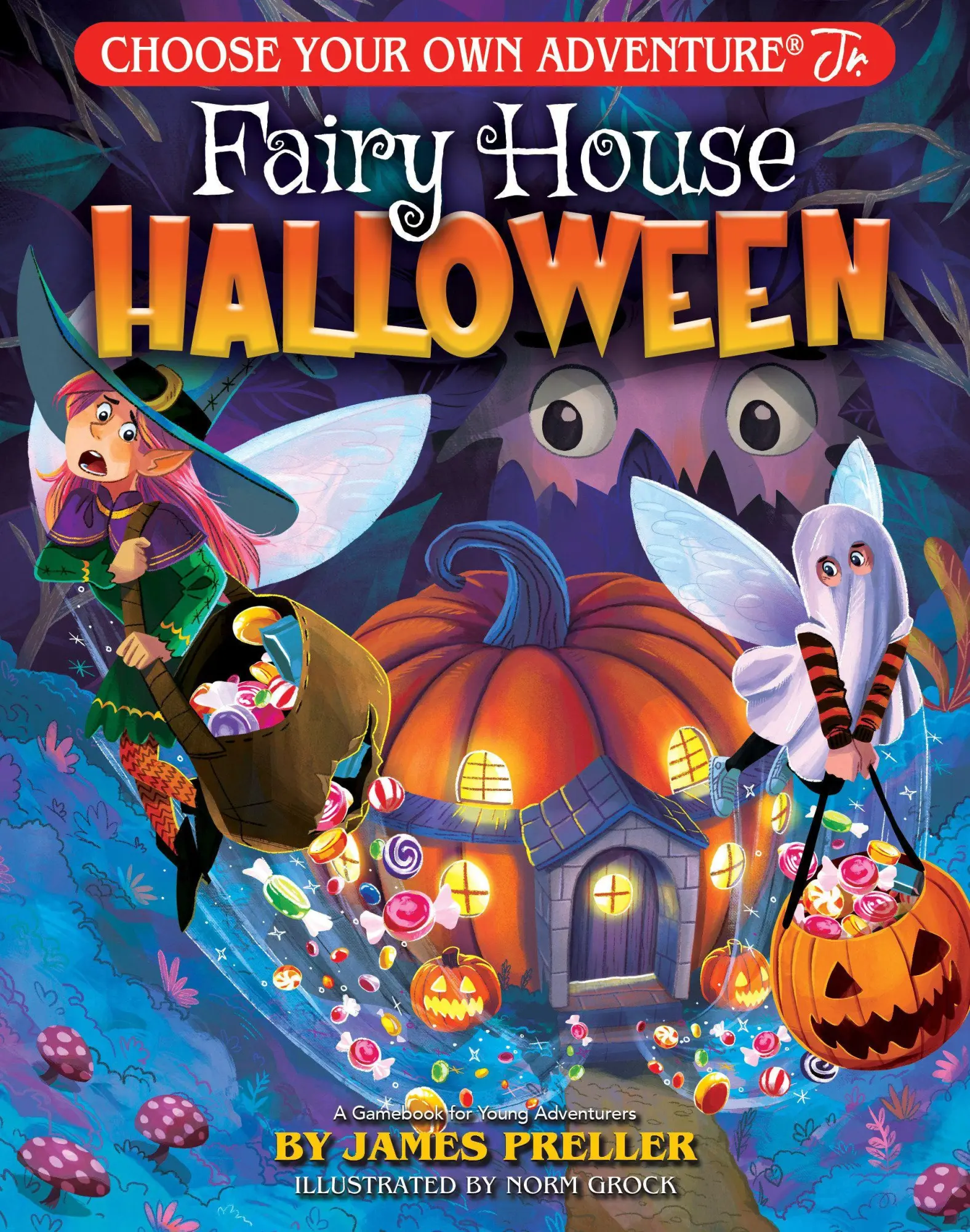 Cover: 9781937133221 | Fairy House Halloween | James Preller | Taschenbuch | Englisch | 2026