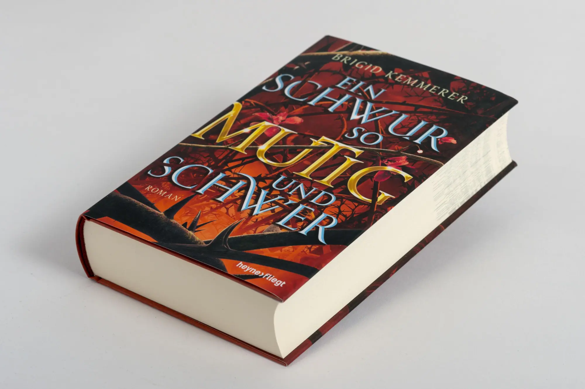 Bild: 9783453273221 | Ein Schwur so mutig und schwer | Roman | Brigid Kemmerer | Buch | 2021