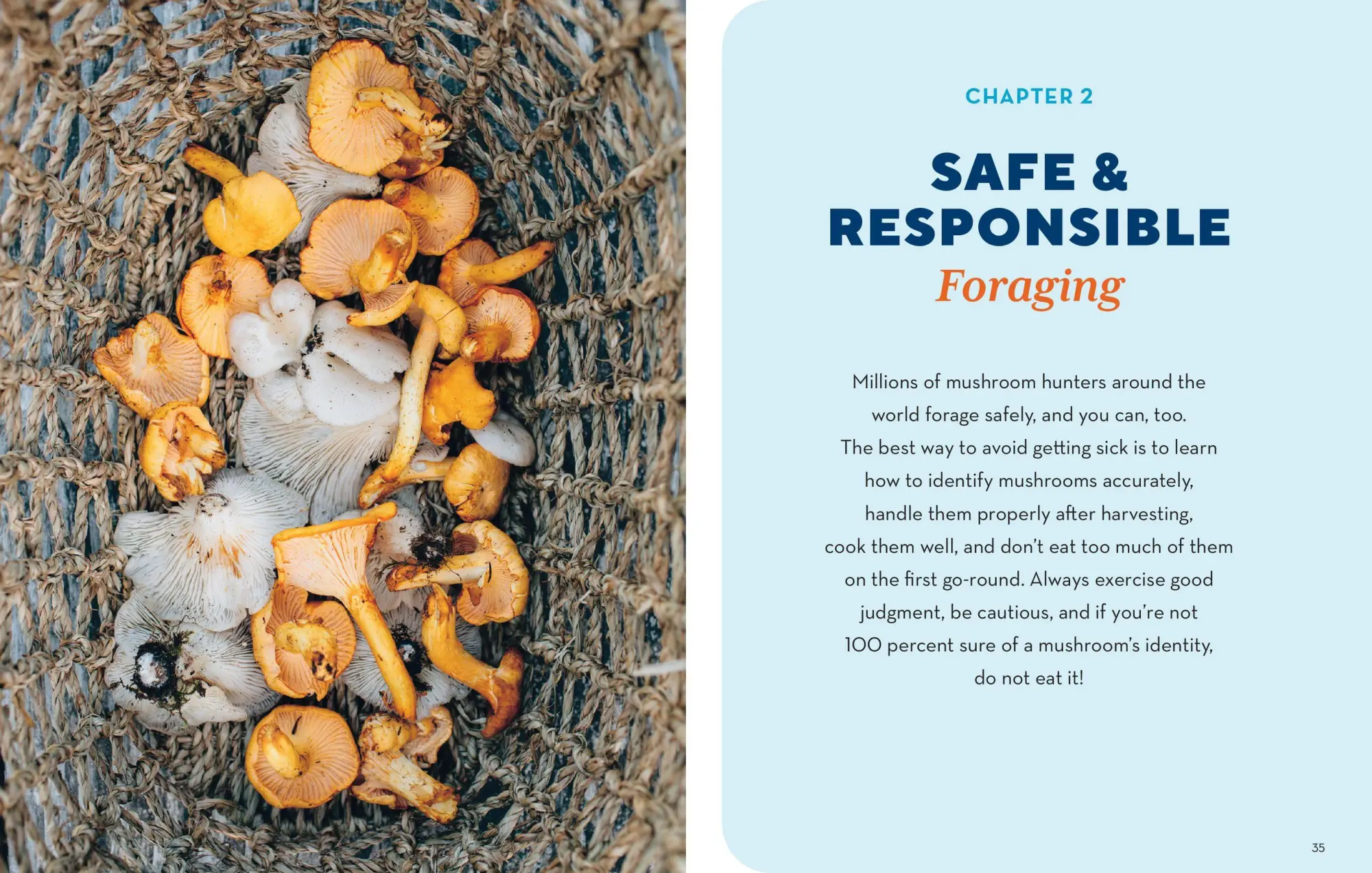 Bild: 9781635863321 | How to Forage for Mushrooms Without Dying | Frank Hyman | Taschenbuch
