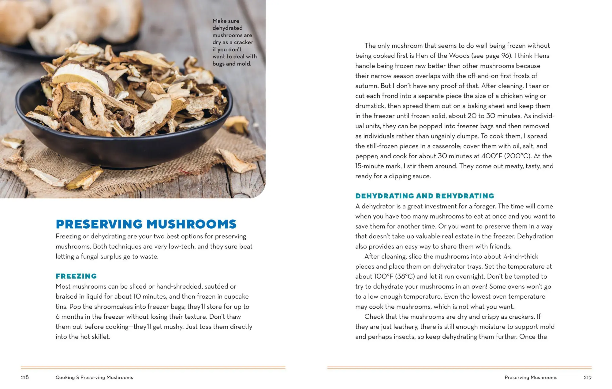 Bild: 9781635863321 | How to Forage for Mushrooms Without Dying | Frank Hyman | Taschenbuch