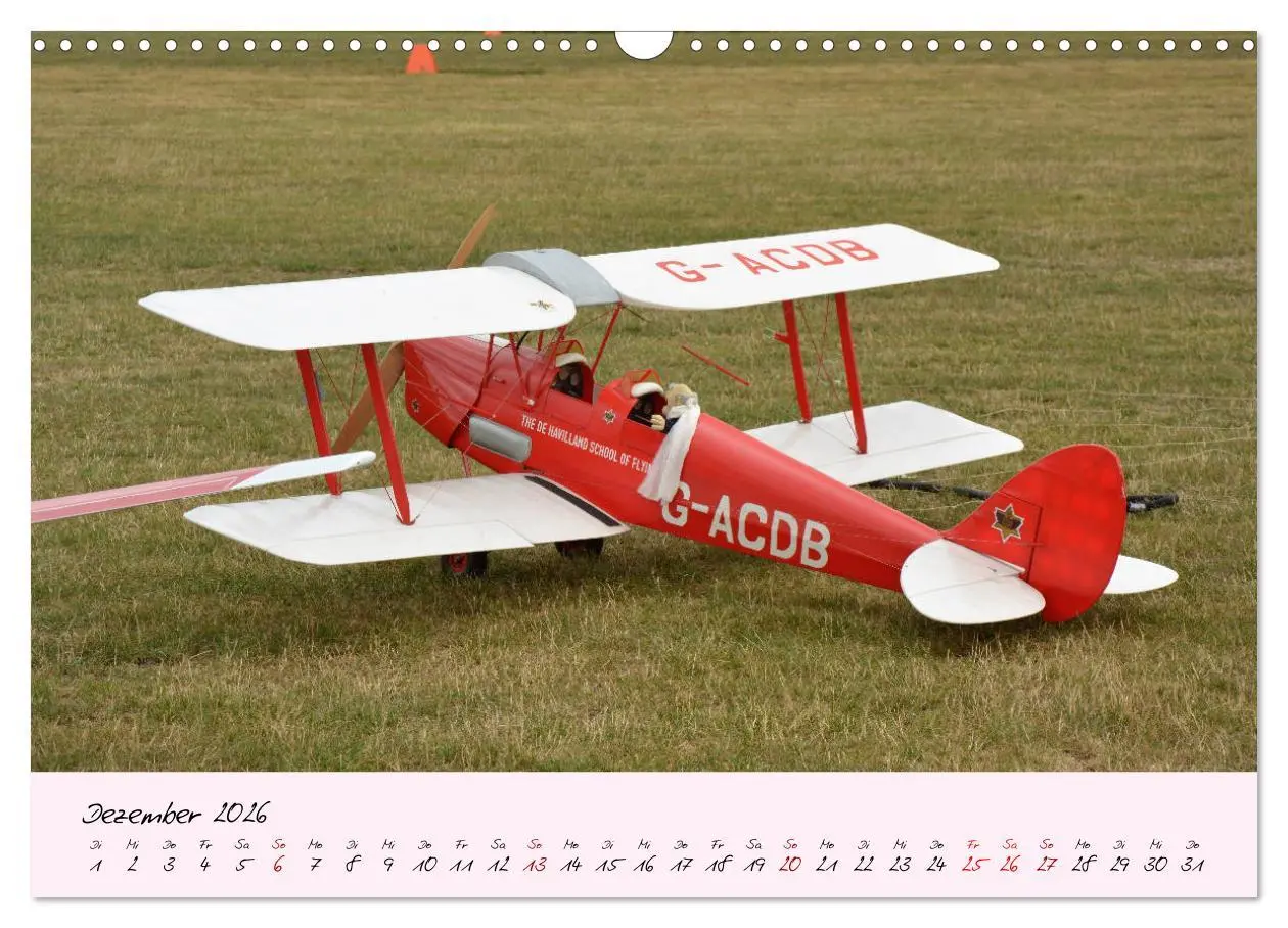 Bild: 9783457773321 | Schätzchen der Lüfte (Wandkalender 2026 DIN A3 quer), CALVENDO...