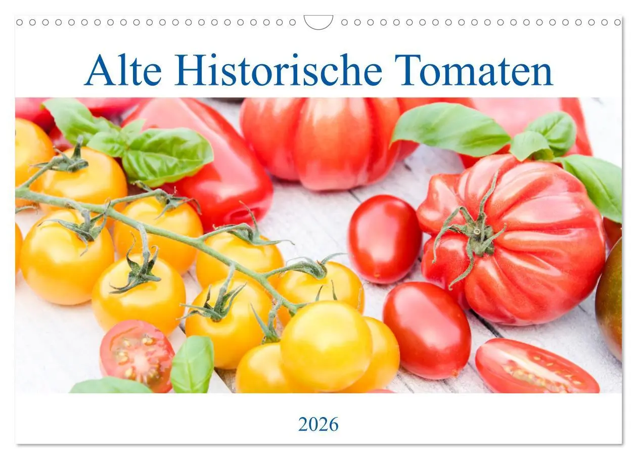 Cover: 9783457913321 | Alte Historische Tomaten (Wandkalender 2026 DIN A3 quer), CALVENDO...