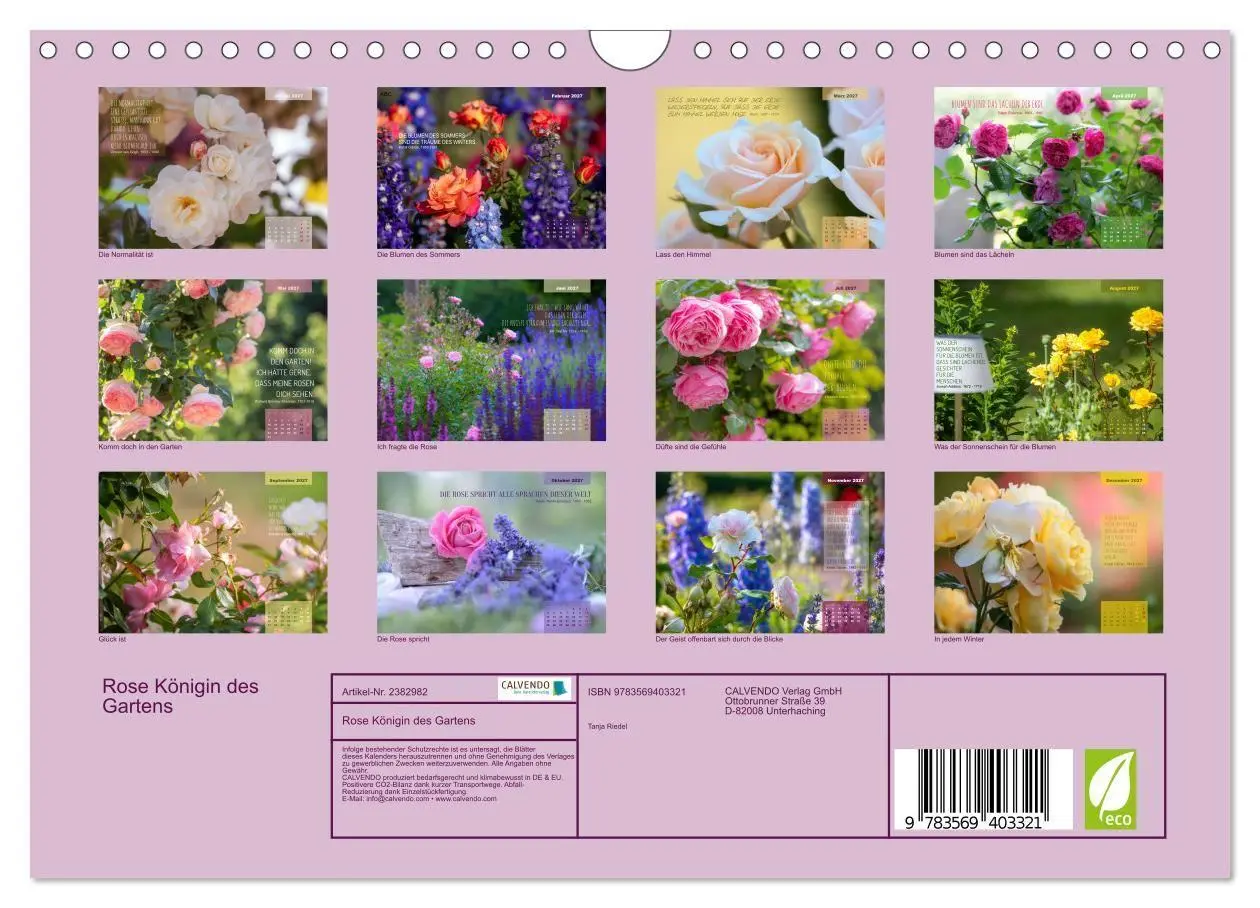 Bild: 9783569403321 | Rose Königin des Gartens (Wandkalender 2027 DIN A4 quer), CALVENDO...