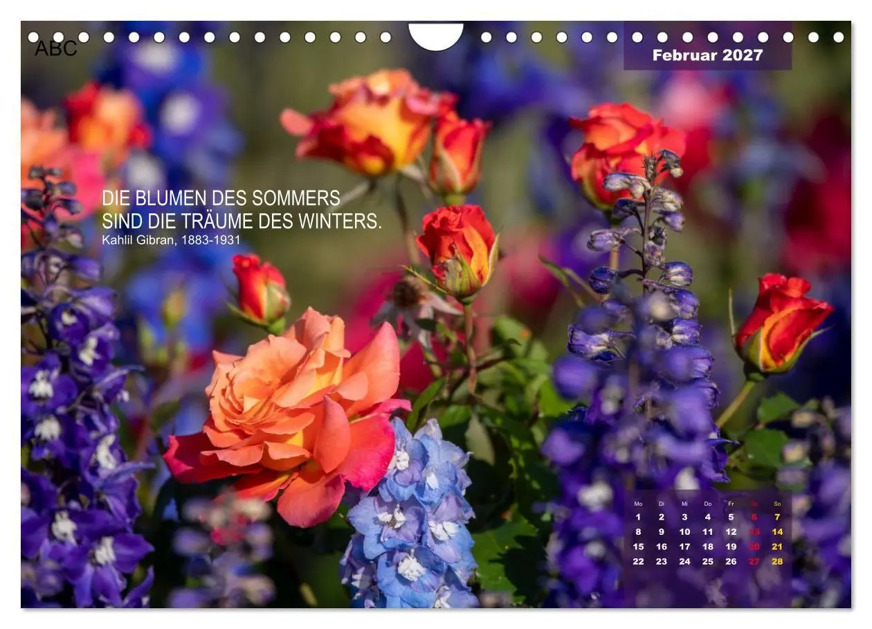 Bild: 9783569403321 | Rose Königin des Gartens (Wandkalender 2027 DIN A4 quer), CALVENDO...