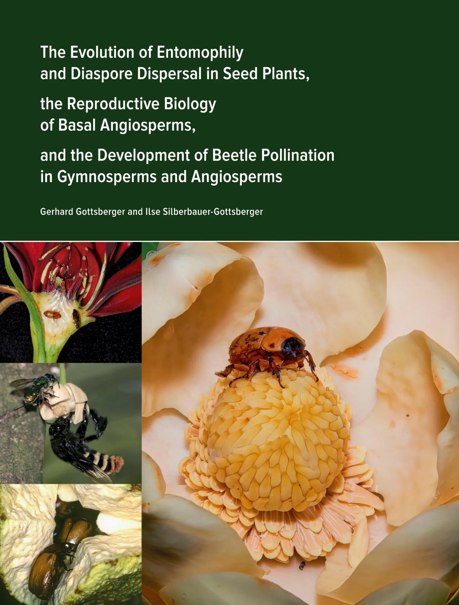 Cover: 9783384573421 | The Evolution of Entomophily and Diaspore Dispersal in Seed Plants,...