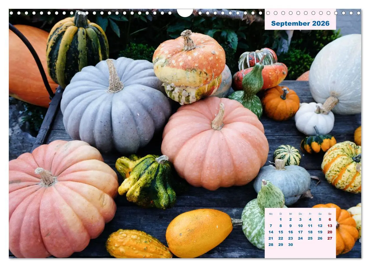 Bild: 9783457523421 | Küchenkalender Vegetarisch für Genießer 2026 (Wandkalender 2026 DIN...
