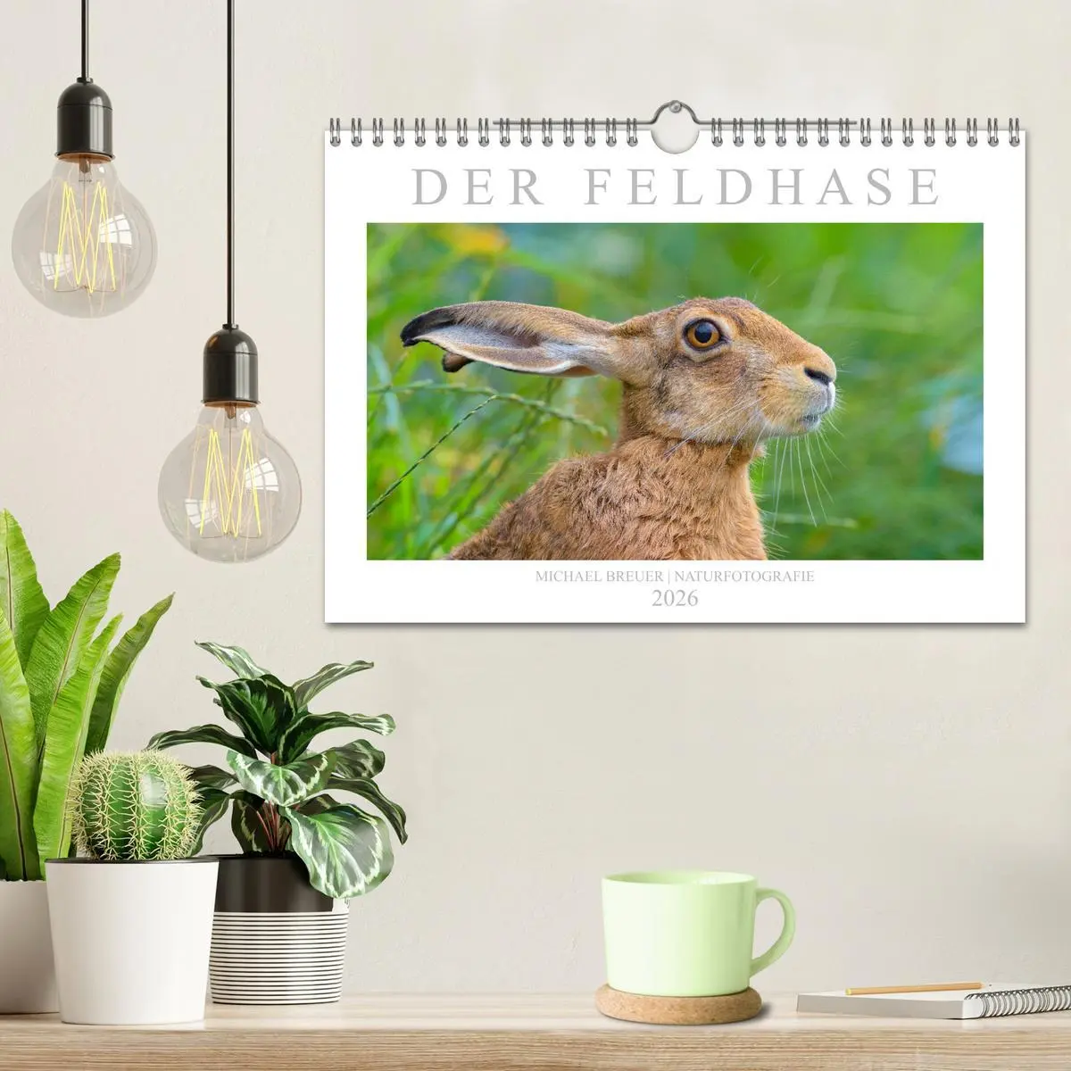 Bild: 9783457763421 | Der Feldhase (Wandkalender 2026 DIN A4 quer), CALVENDO Monatskalender