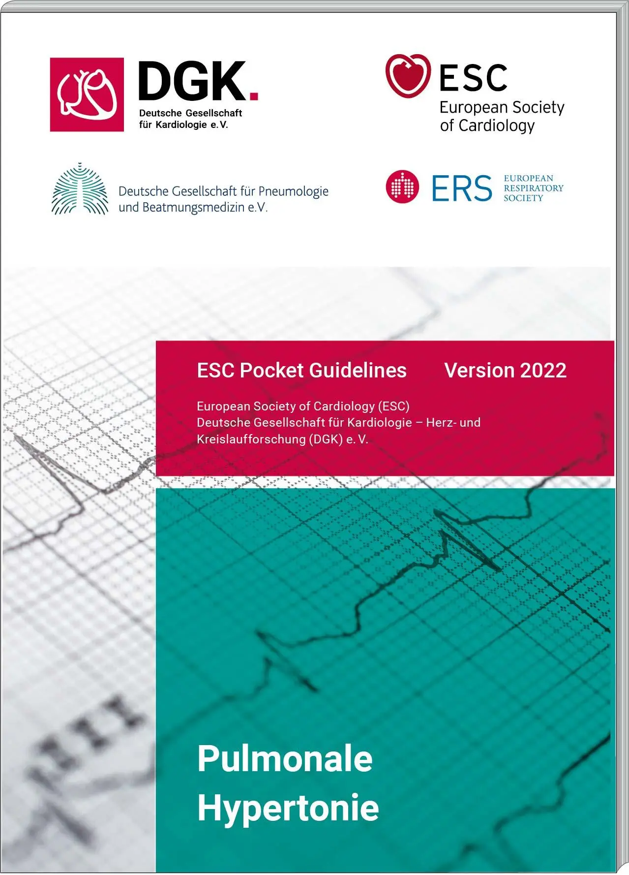 Cover: 9783898623421 | Pulmonale Hypertonie | Version 2022 | Kardiologie | Broschüre | 80 S.