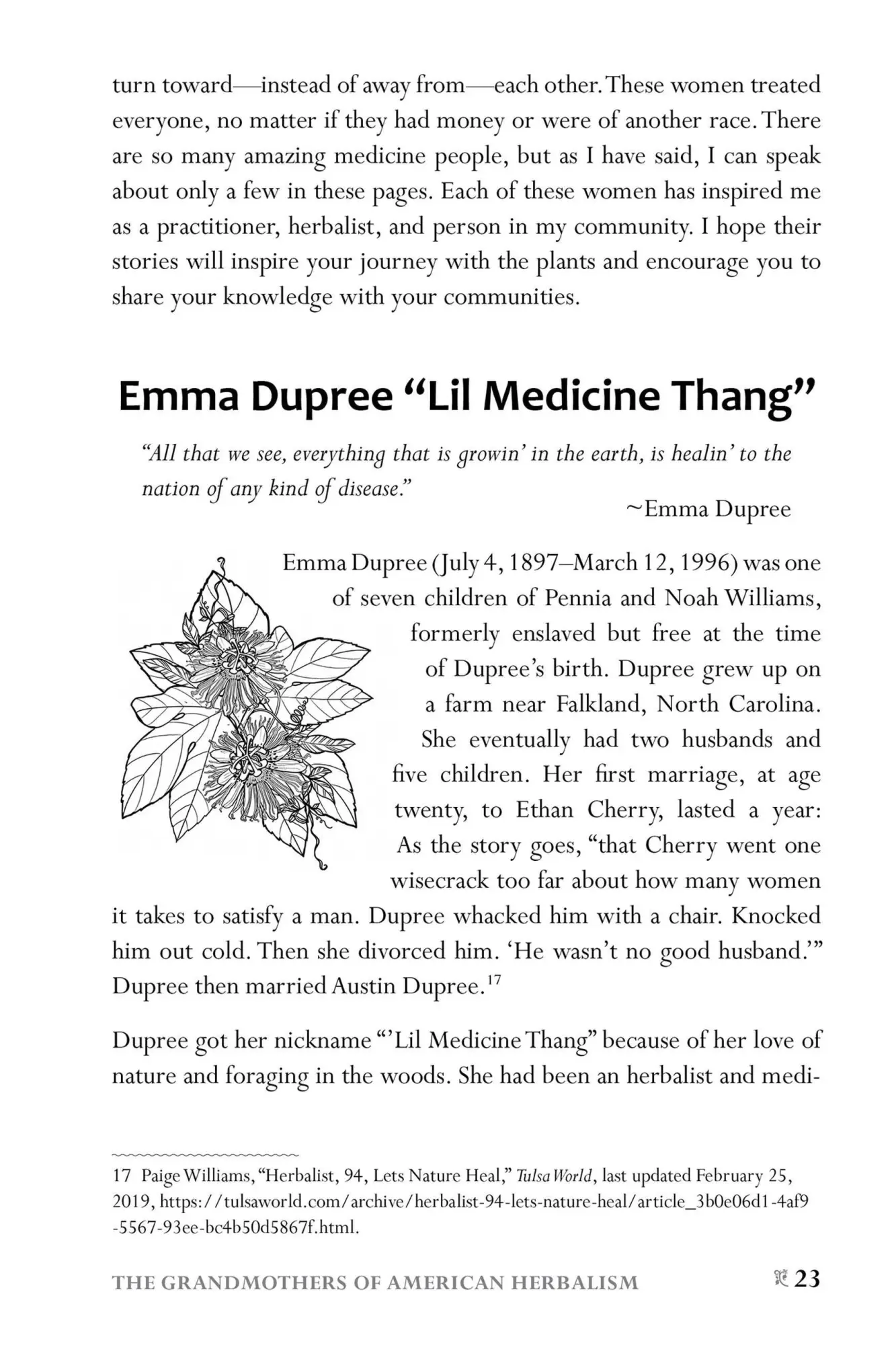 Bild: 9781646043521 | African American Herbalism | Lucretia Vandyke | Taschenbuch | Englisch
