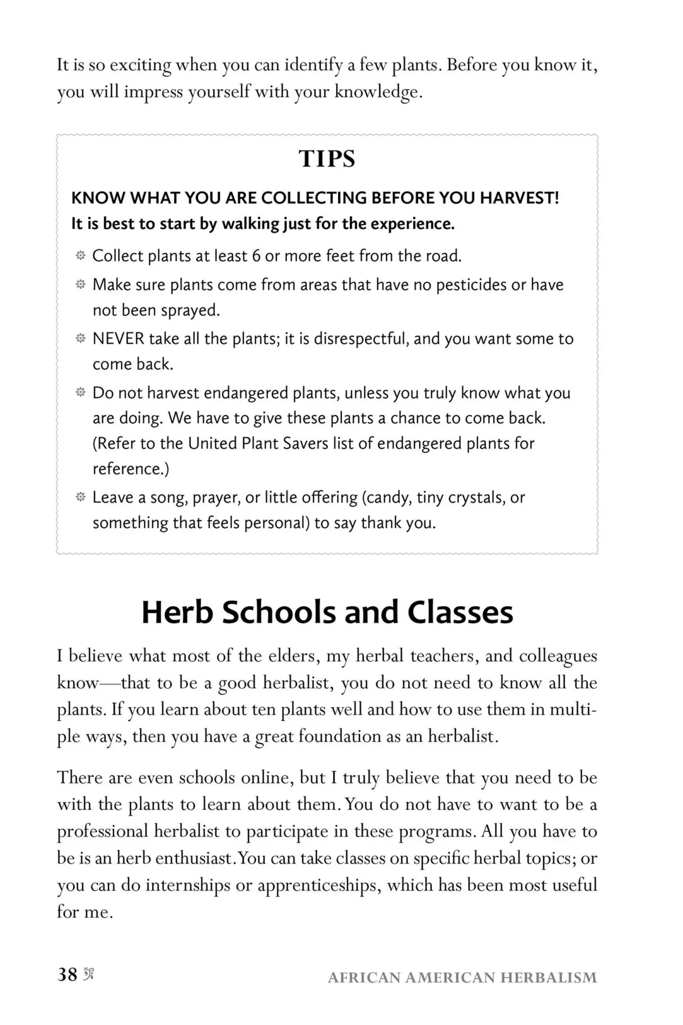 Bild: 9781646043521 | African American Herbalism | Lucretia Vandyke | Taschenbuch | Englisch