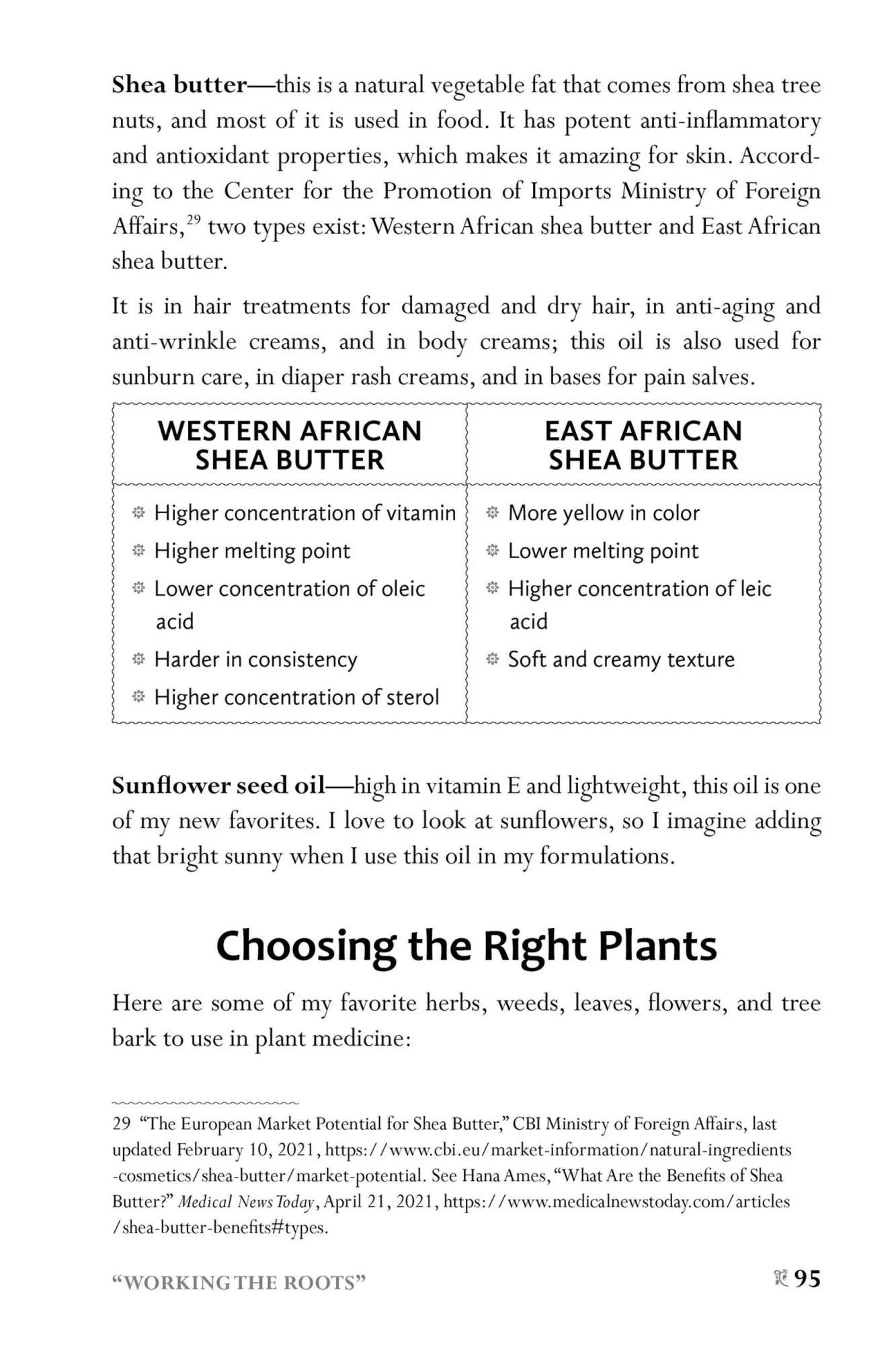 Bild: 9781646043521 | African American Herbalism | Lucretia Vandyke | Taschenbuch | Englisch