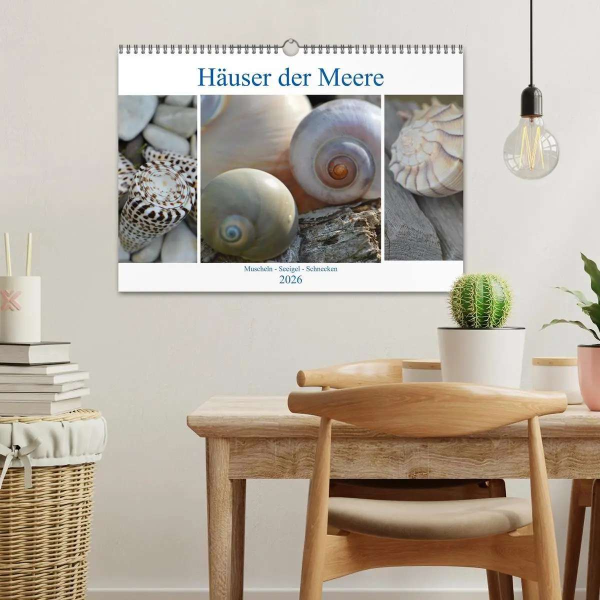 Bild: 9783457823521 | Häuser der Meere: Muscheln - Seeigel - Schnecken (Wandkalender 2026...